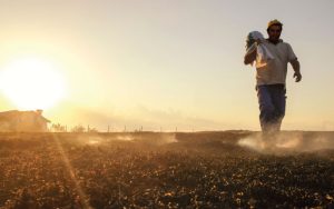 Lee más sobre el artículo CAMBIO CLIMÁTICO Y TRABAJO INFORMAL