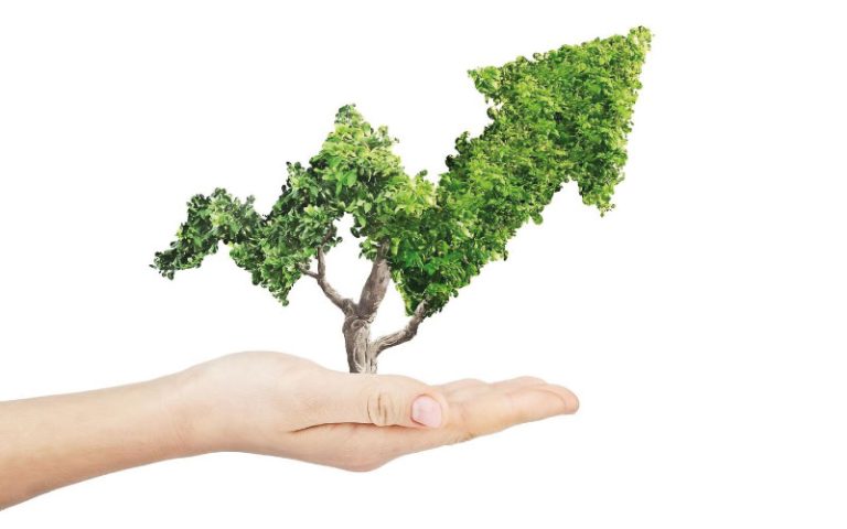 SOSTENIBILIDAD COMO EJE ESTRATÉGICO DEL LIDERAZGO EMPRESARIAL