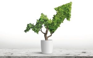 Lee más sobre el artículo ECUADOR ANTELA TRANSICIÓN VERDE