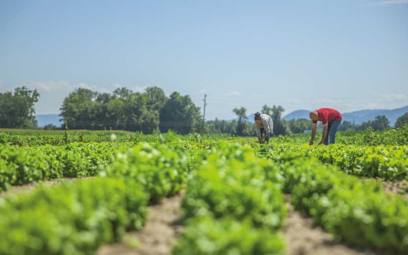 Lee más sobre el artículo Pequeños avances, grandes desafíos: una visión de la coyuntura de los mercados laborales de la región