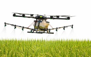 Lee más sobre el artículo PRODUCTIVIDAD AGRÍCOLA: EL ROL DE FERTILIZANTES EN LOS CULTIVOS DE ARROZ.