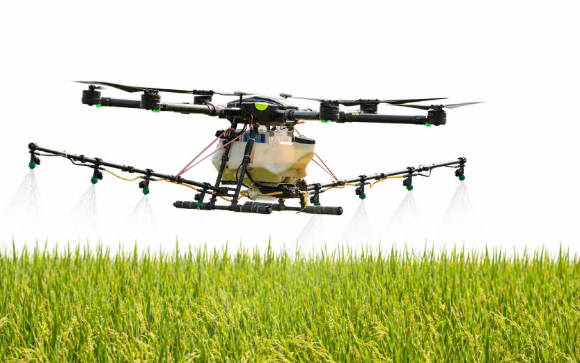 Lee más sobre el artículo PRODUCTIVIDAD AGRÍCOLA: EL ROL DE FERTILIZANTES EN LOS CULTIVOS DE ARROZ.