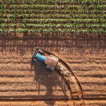 LA GUERRA COMERCIAL Y EL NUEVO TABLERO PARA EL AGRO LATINOAMERICANO