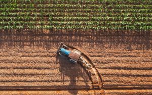 Lee más sobre el artículo LA GUERRA COMERCIAL Y EL NUEVO TABLERO PARA EL AGRO LATINOAMERICANO